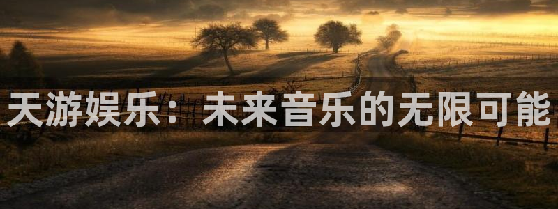 今年会：天游娱乐：未来音乐的无限可能