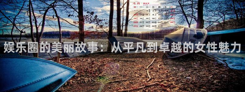 今年会app：娱乐圈的美丽故事：从平凡到卓越的女性魅力