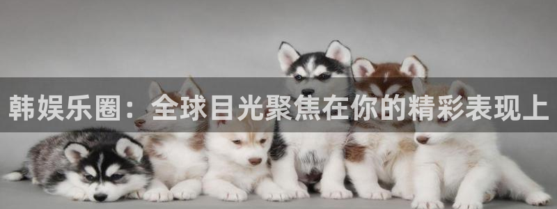 今年会app：韩娱乐圈：全球目光聚焦在你的精彩表现上