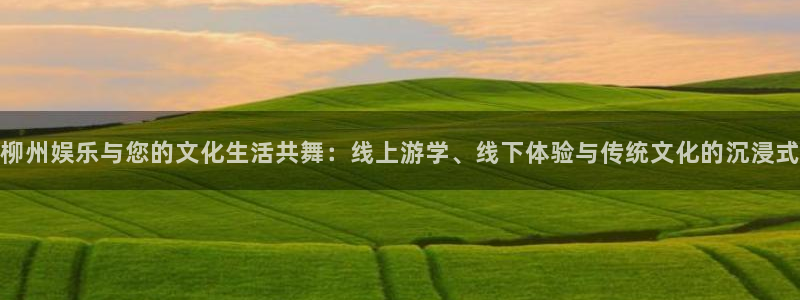 今年会官网登录入口：柳州娱乐与您的文化生活共舞：线上游学、线下体验与传统文化的沉浸式