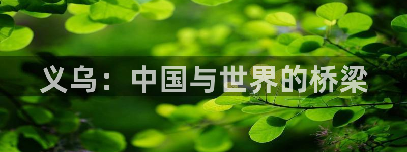 今年会app：义乌：中国与世界的桥梁