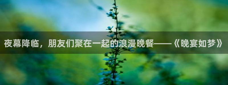 今年会官网登录入口：夜幕降临，朋友们聚在一起的浪漫晚餐——《晚宴如梦》