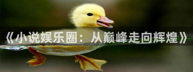 今年会体育：《小说娱乐圈：从巅峰走向辉煌》