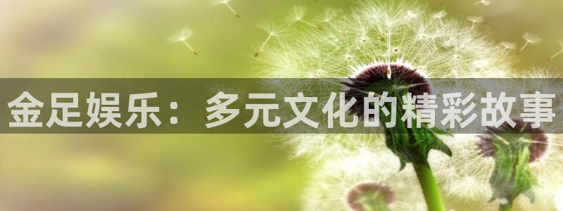 今年会官网登录入口：金足娱乐：多元文化的精彩故事