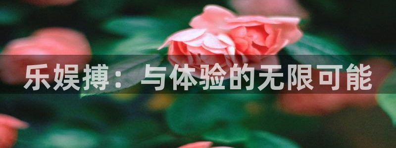 今年会：乐娱搏：与体验的无限可能