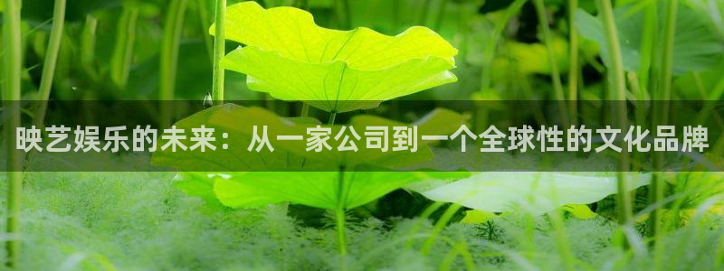 今年会官网登录入口：映艺娱乐的未来：从一家公司到一个全球性的文化品牌