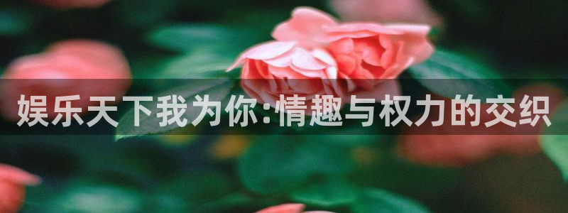 今年会体育：娱乐天下我为你:情趣与权力的交织