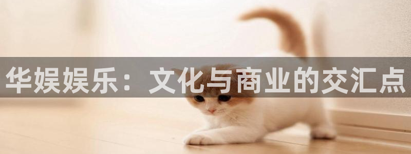 今年会首页：华娱娱乐：文化与商业的交汇点